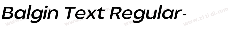 Balgin Text Regular字体转换 Balgin Text Regular字体转换